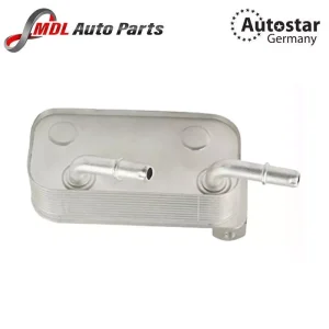 AutoStar Germany Genuine HEAT EXCHANGER 17217505823