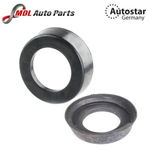 AutoStar Germany Spring Mounting Fits 2013211084