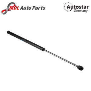 AutoStar Germany GAS SPRING FRONT 2049800064