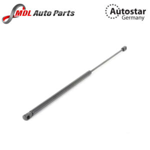 AutoStar Germany GAS SPRING 2118800029