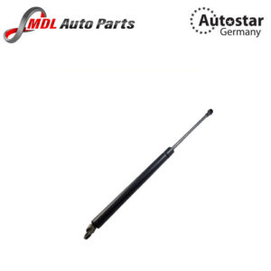 Autostar Germany DICKEY SHOCK 2207500236