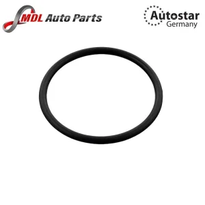 AutoStar Germany THERMOSTAT SEAL 299972148