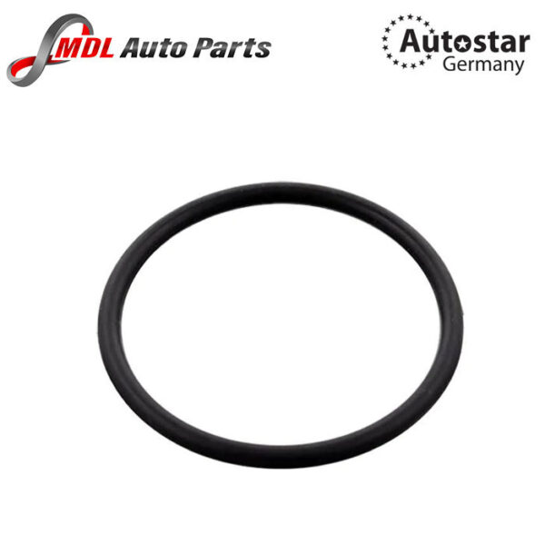 AutoStar Germany THERMOSTAT SEAL 299972148