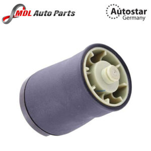 AutoStar Germany BMW AIR SPRING X5/ E53 37121095580 37126750356