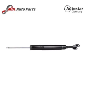 Autostar Germany (AST-406957) SHOCK ABSORBER FOR AUDI A6 C6 QUATTRO S6 4F0413031AS