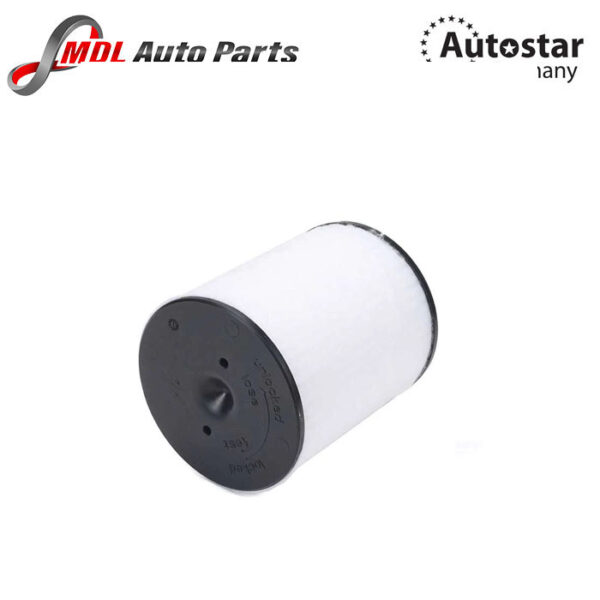 AutoStar Germany (AST-256553) AIR FILTER (4H2, 4H8, 4HC, 4HL) 4H0129620L