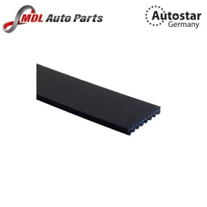 Autostar Germany V RIBBED BELT 631 814 4PK860