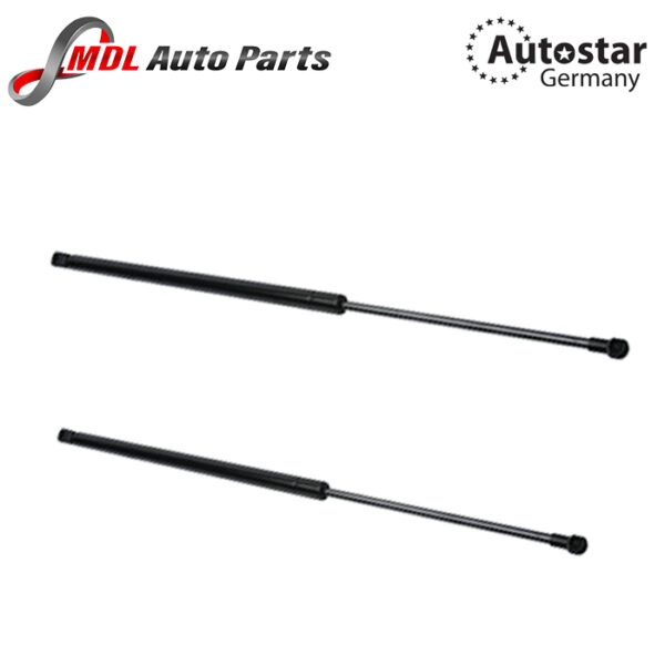 AutoStar Germany DICKY SHOCK E83/ X3 51243400379