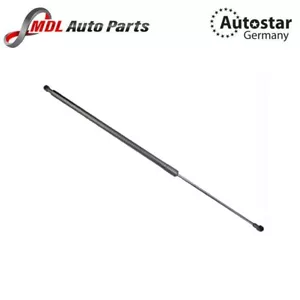 AutoStar Germany DICKY SHOCK E83/ X3 51243400379