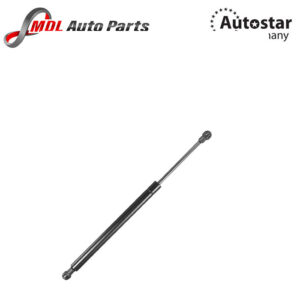 AutoStar Germany DICKY SHOCK E90 51247060623