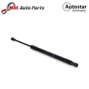 AutoStar Germany DICKY SHOCK E90 51247060623