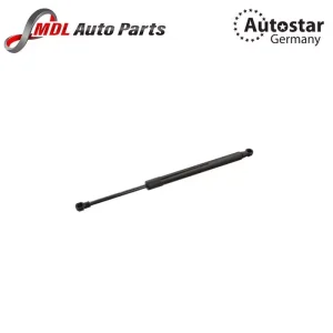 Autostar Germany DICKY SHOCK E39 51248222913