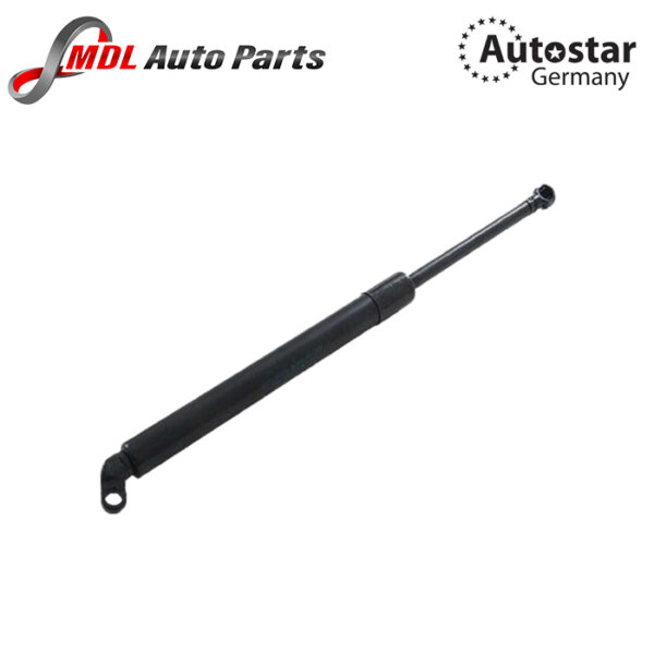 Autostar Germany DICKY SHOCK E39 51248222913