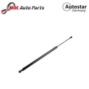 AutoStar Germany DICKY SHOCK E53/ X5 51248402405