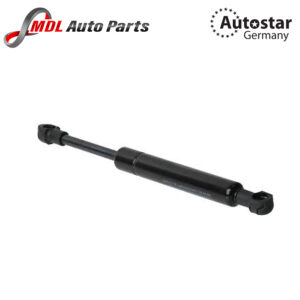 Autostar Germany DICKY SHOCK E36 51248410755