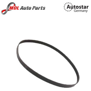 AutoStar Germany V RIBBED BELT 5PK1005