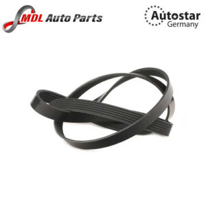 AutoStar Germany V-RIBBED BELT LR012625 5PK1175