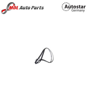 AutoStar Germany V RIBBED BELTS E36. E39 5PK1815