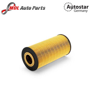 AutoStar Germany Oil Filter 6021800009