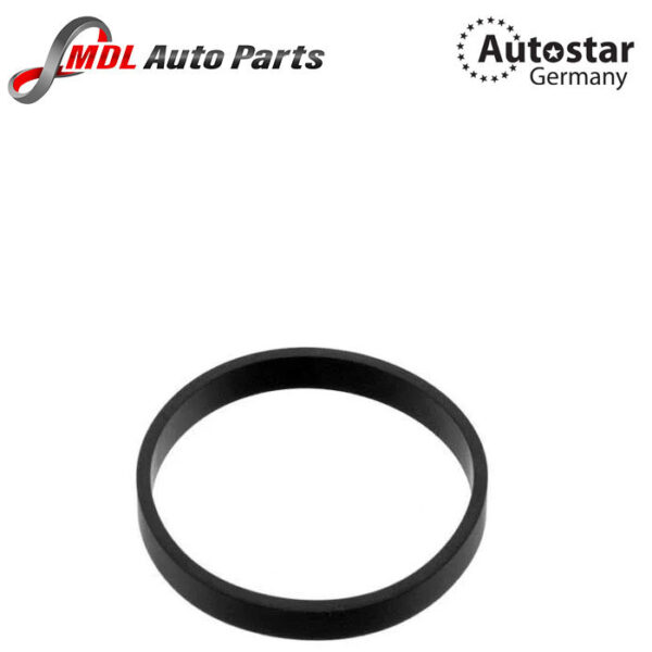 AutoStar Germany GASKET 6110940080