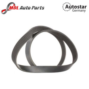 AutoStar Germany V-RIBBED BELT 0039935396 6PK1073