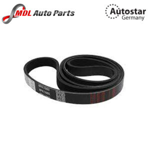 Autostar Germany BELT (1987 947 978) 6PK1660