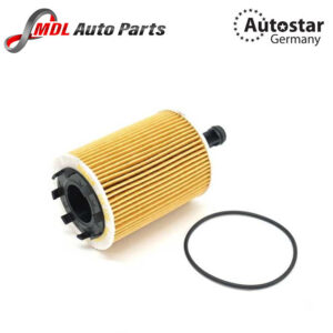 AutoStar Germany (AST-216606) OIL FILTER A2 A3 A4 A5 A6 A6Polo 70115562