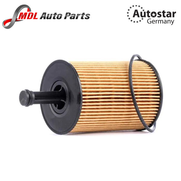 Autostar Germany (AST-216626) OIL FILTER A2 A3 A4 A5 A6 TT Golf Caddy 071115562