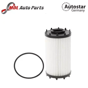 Autostar Germany (AST-216616) OIL FILTER For PORSCHE Cayenne (9YA) Panamera (971) A4 A5 A6 A7 A8 Q5 Q8 9A719840500