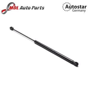 AutoStar Germany LEFT ASSY GAS BHE790030
