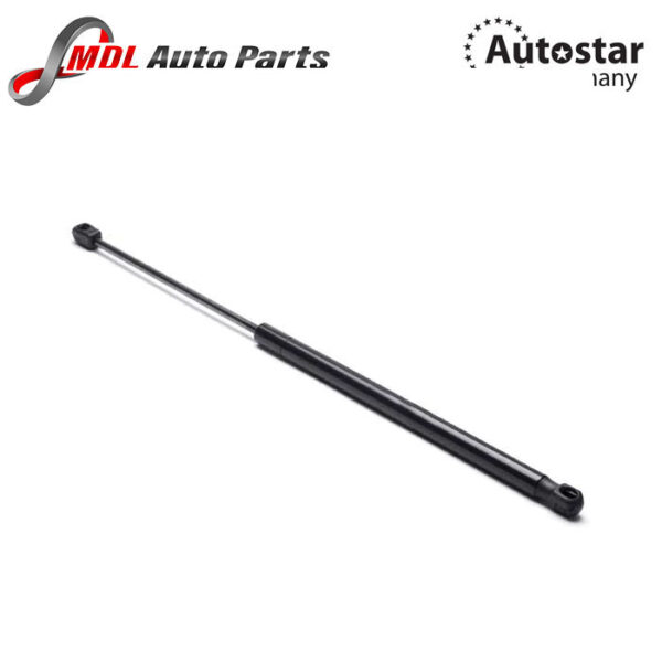 AutoStar Germany LEFT ASSY GAS BHE790030