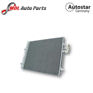 AutoStar Germany RADIATOR For Land Rover LR000566