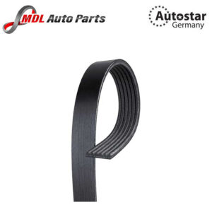 Autostar Germany V-RIBBED BELT Both 6PK1203 LR003570