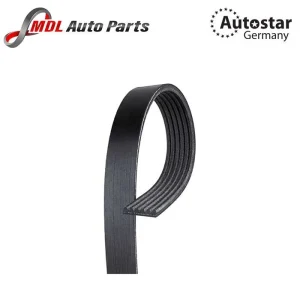 Autostar Germany V-RIBBED BELT Both 6PK1203 LR003570