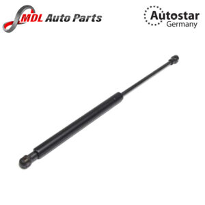 AutoStar Germany Bonnet Shock LR009106