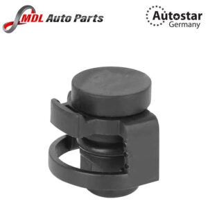 AutoStar Germany CONNECTI0N LR011038