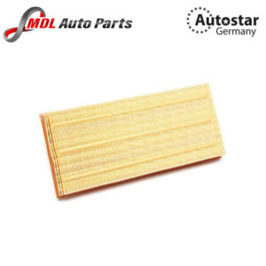 AutoStar Germany AIR FILTER ELEMENT LR011593