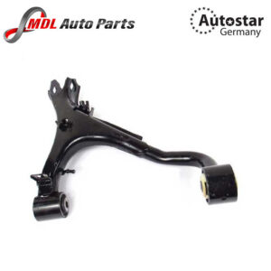 AutoStar Germany Febi Bilstein 174178 Wheel Suspension Control Arm/Trailing Arm Fits Land Rover RGG500293