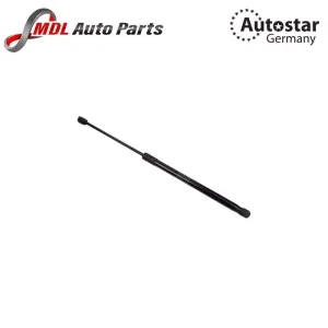 AutoStar Germany DICKY SHOCK 1647400145