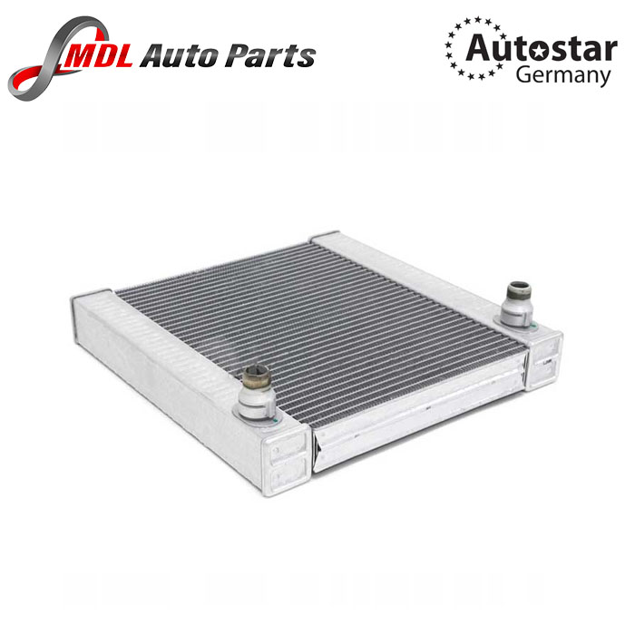 Autostar Germany Radiator Auxiliary 2016-23 M8 17118620207 1 17118620207