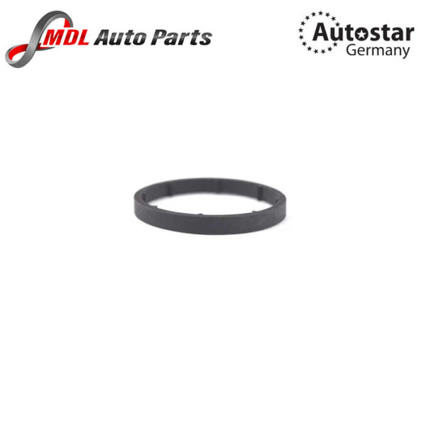 AutoStar Germany SEAL. OIL COOLER 6511840880