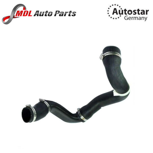 AutoStar Germany HOSE 2 2 2 TD4 LR002589