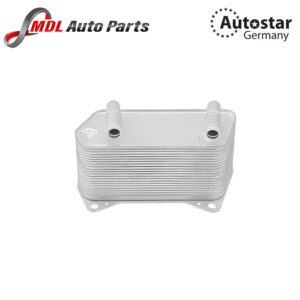 Autostar Germany (AST-286488) TRANSMISSION OIL COOLER FOR AUDI 8N3 8N9 8J3 8J9 1J1 02E409061C