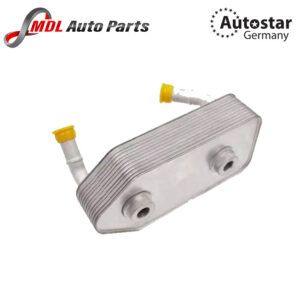 Autostar Germany ENGINE OIL COOLER For AUDI A3 Hatchback (8L1) Volkswagen GOLF JETTA Passat B3/B4 Saloon (3A2, 35i) 096409061G