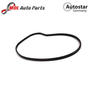 AutoStar Germany Engine Water Pump Seal Gasket 11517508535