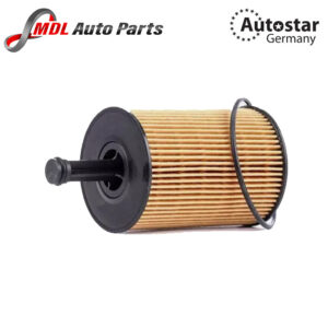 Autostar Germany (AST-216626) OIL FILTER A2 A3 A4 A5 A6 TT Golf Caddy 071115562