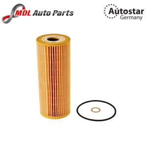 Autostar Germany Oil Filter For 1041800109