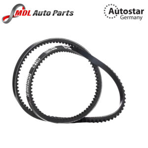 Autostar Germany V RIBBED BELT 10X1005 For 0099975392