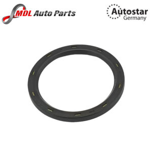 AutoStar Germany OIL SEAL 11117587168