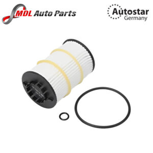 Autostar Germany OIL FILTER INSERT 079198405D